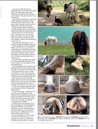 BarefootHorseMag - Artikel 2 -2